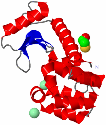 Image Asym./Biol. Unit