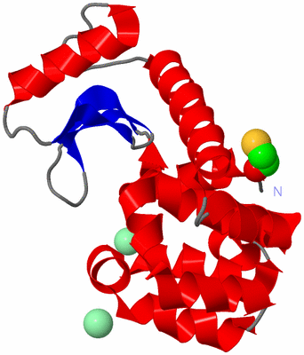 Image Asym./Biol. Unit