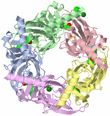 Image Asym./Biol. Unit