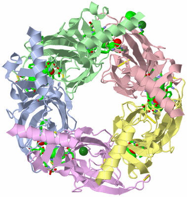 Image Asym./Biol. Unit - sites