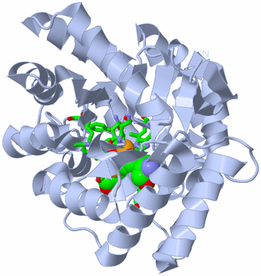 Image Biol. Unit 1 - sites