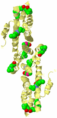 Image Biological Unit 3