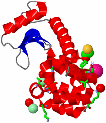 Image Asym./Biol. Unit - sites