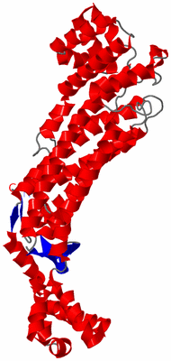 Image Asymmetric Unit