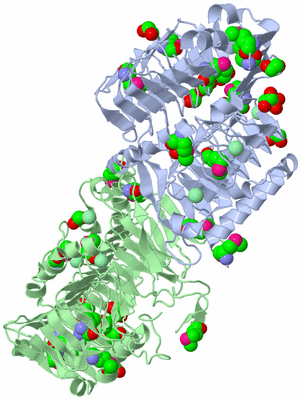 Image Biological Unit 1