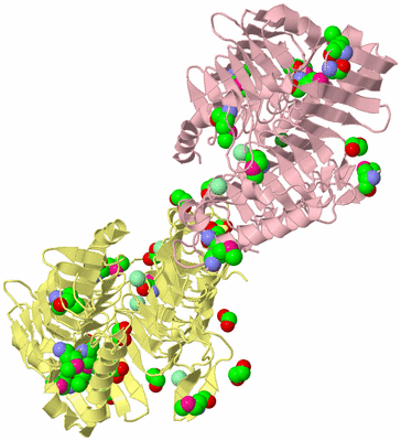 Image Biological Unit 2