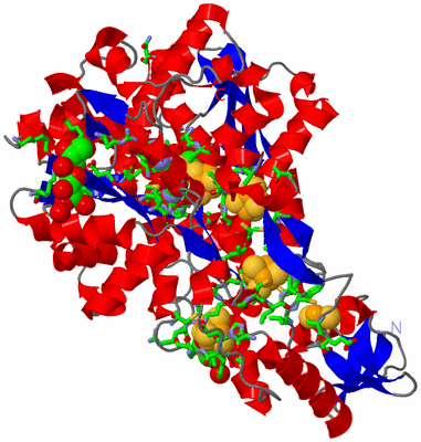 Image Asym./Biol. Unit - sites