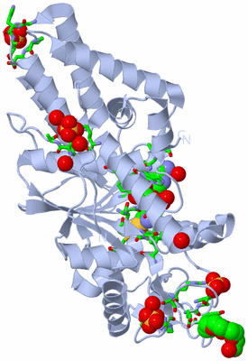 Image Biol. Unit 1 - sites