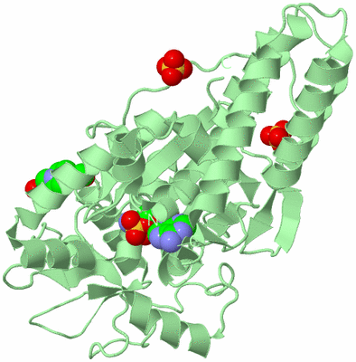 Image Biological Unit 2