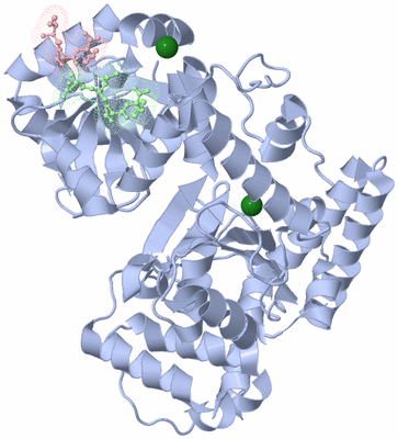 Image Asym./Biol. Unit