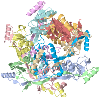 Image Asym./Biol. Unit