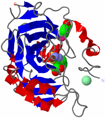 Image Asym./Biol. Unit