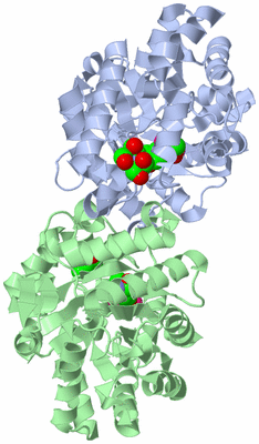 Image Asym./Biol. Unit