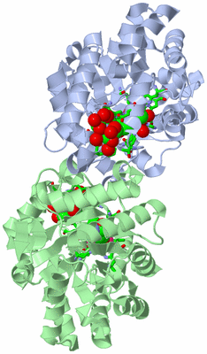 Image Asym./Biol. Unit - sites