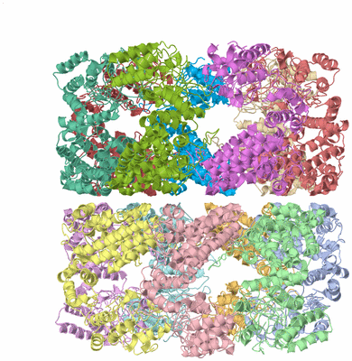 Image Asym./Biol. Unit