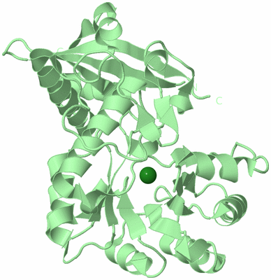 Image Biological Unit 3