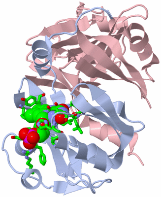 Image Biol. Unit 1 - sites