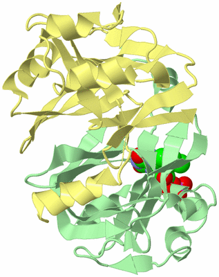 Image Biological Unit 2