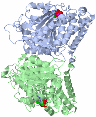 Image Asym./Biol. Unit