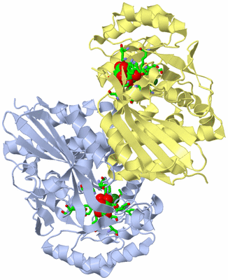 Image Biol. Unit 1 - sites