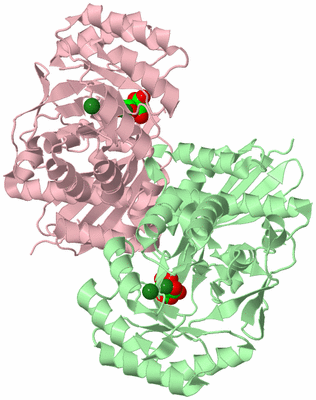 Image Biological Unit 2