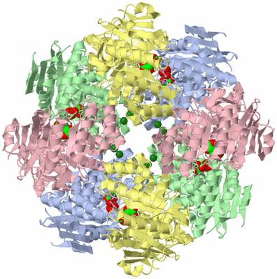 Image Biological Unit 3