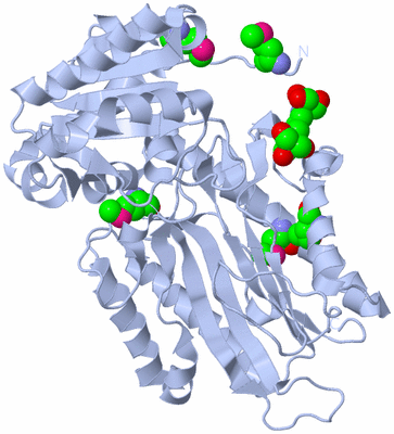 Image Biological Unit 1