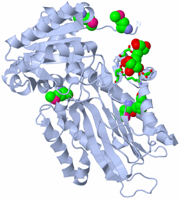 Image Biol. Unit 1 - sites