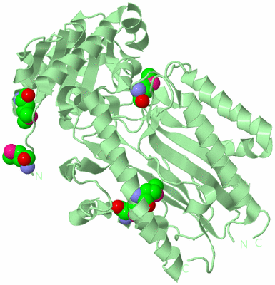 Image Biological Unit 2