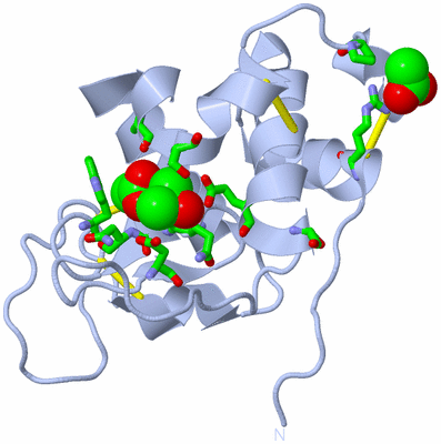 Image Biol. Unit 1 - sites