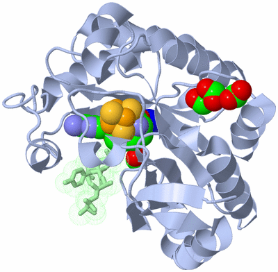 Image Asym./Biol. Unit