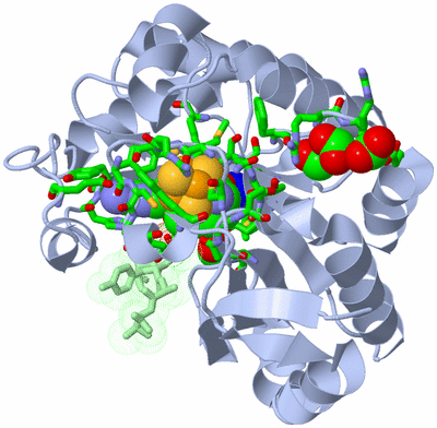 Image Asym./Biol. Unit - sites