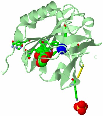 Image Biol. Unit 1 - sites