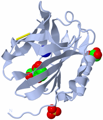 Image Biological Unit 2