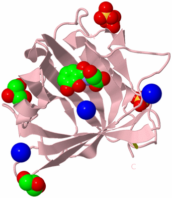 Image Biological Unit 3