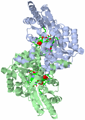 Image Asym./Biol. Unit - sites