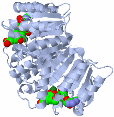 Image Biological Unit 1