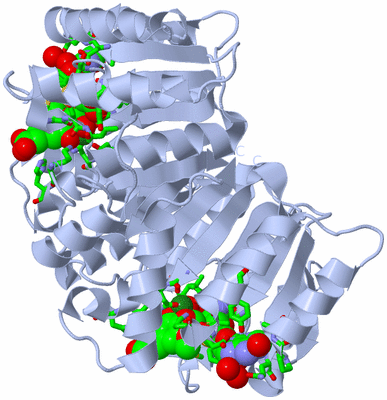 Image Biol. Unit 1 - sites