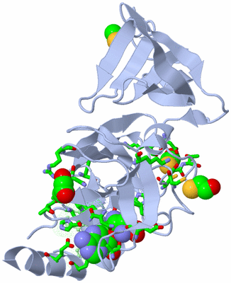 Image Asym./Biol. Unit - sites