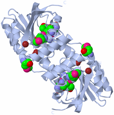 Image Biological Unit 1