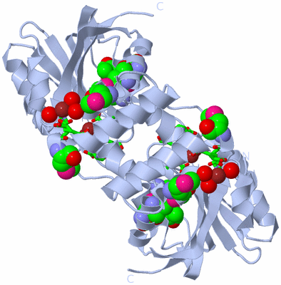 Image Biol. Unit 1 - sites