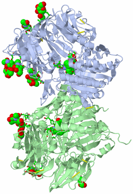 Image Biol. Unit 1 - sites