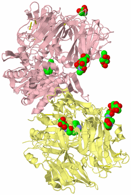 Image Biological Unit 2