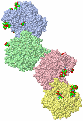 Image Asym. Unit - sites