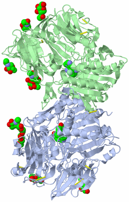 Image Biological Unit 1