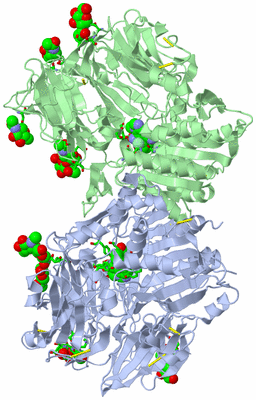 Image Biol. Unit 1 - sites