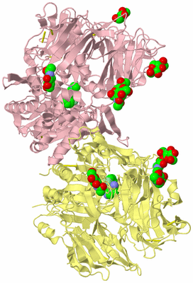 Image Biological Unit 2