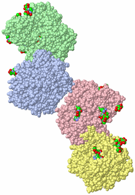 Image Asym. Unit - sites