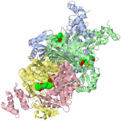 Image Asym./Biol. Unit