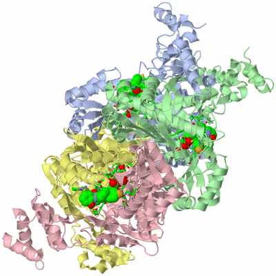 Image Asym./Biol. Unit - sites